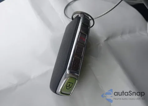 2020 Kia Telluride Ex z USA, uszkodzony, nr VIN 5XYP3DHCXLG076559